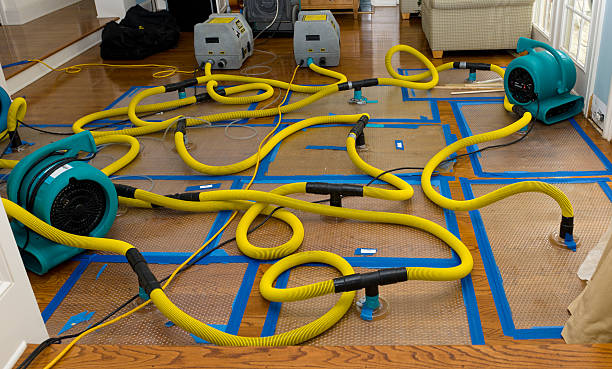 Professional Crawl Space Water Removal technician working in Dundee, IL